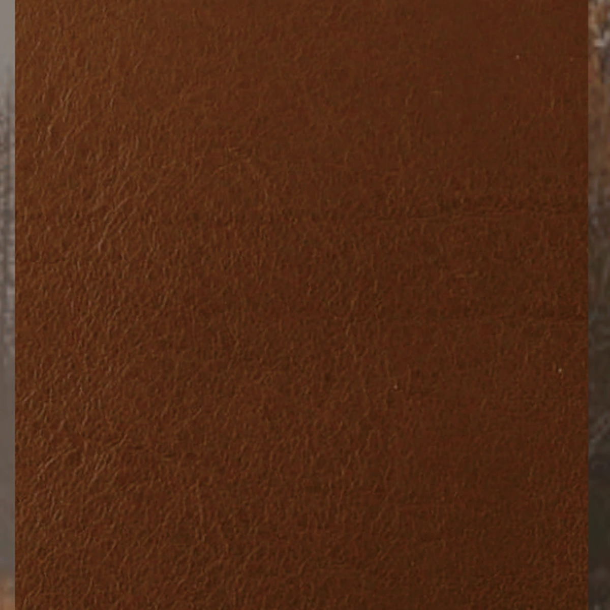 Baby Calf Leather 02, sample 2 of 3