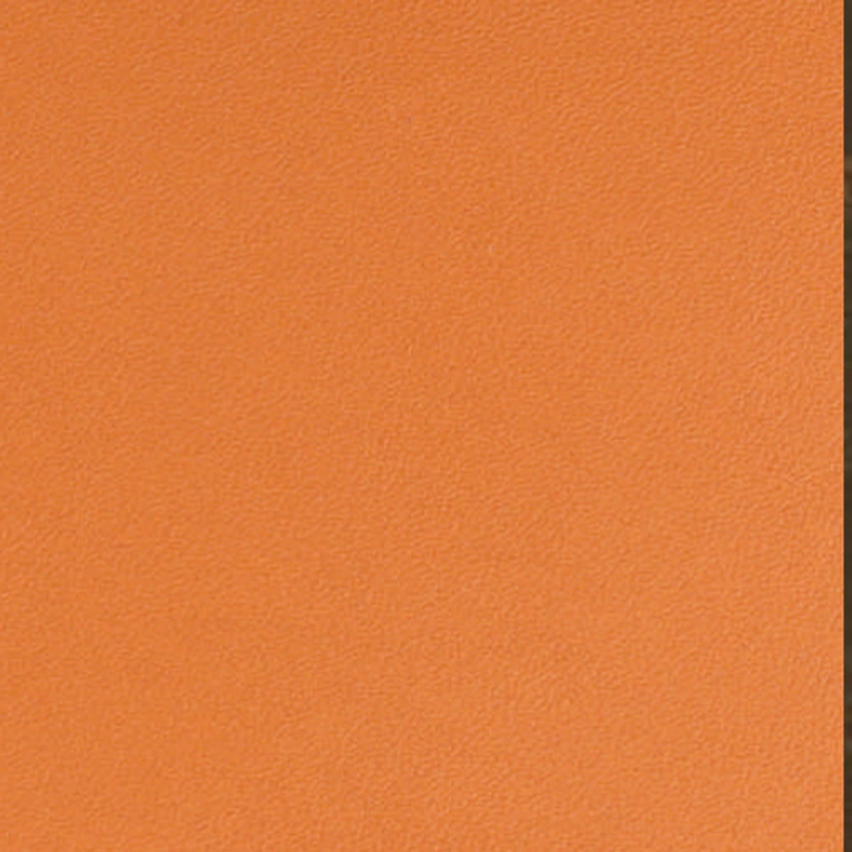 Prada Cow Leather 03, sample 3 of 3