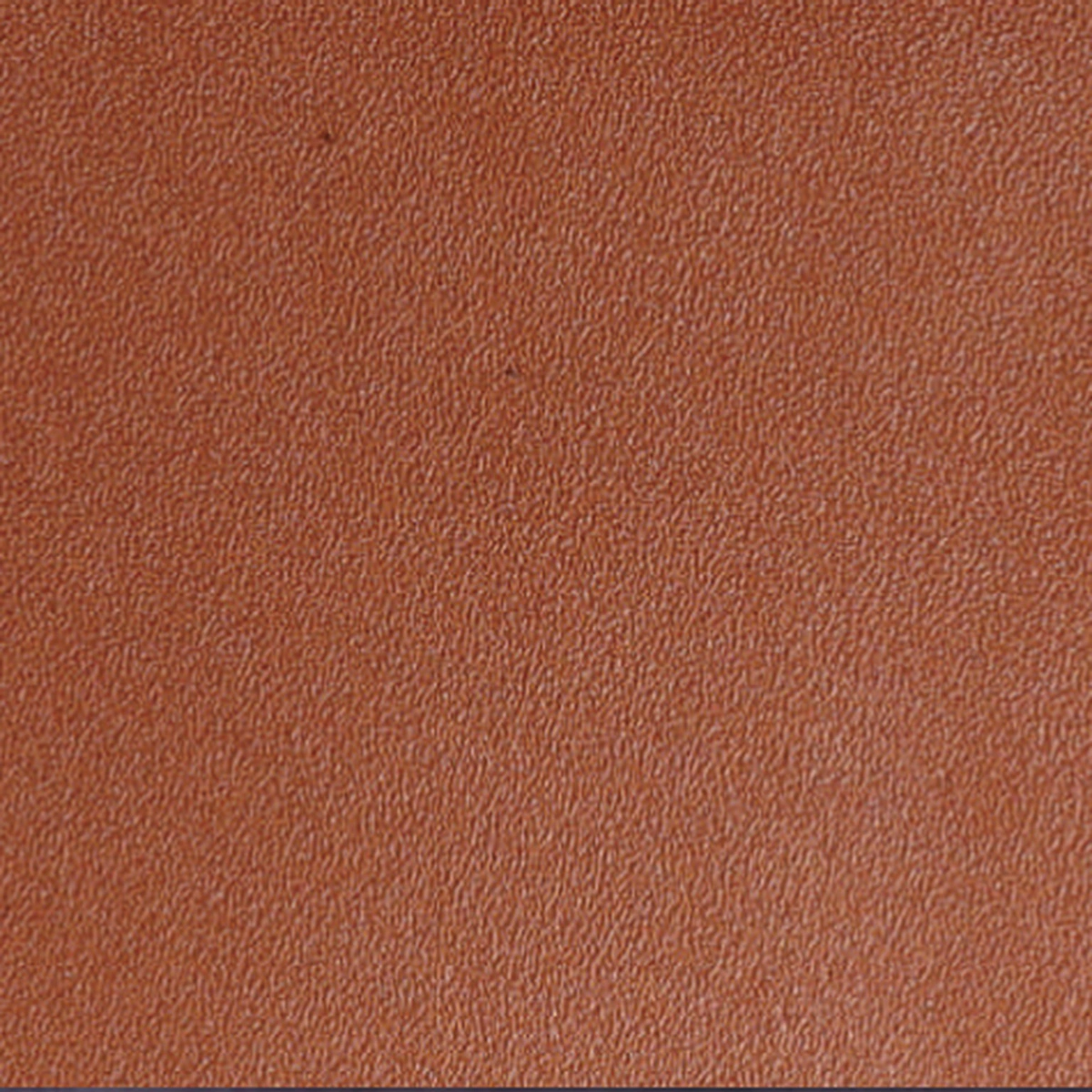 Ruby Cow Leather 02, sample 2 of 3
