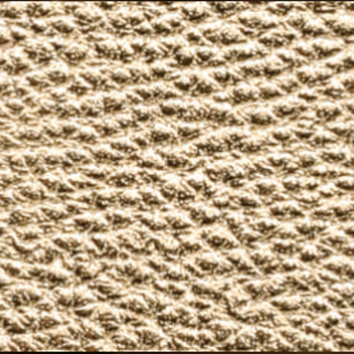 Ruth Cow Leather 04, sample 4 of 4