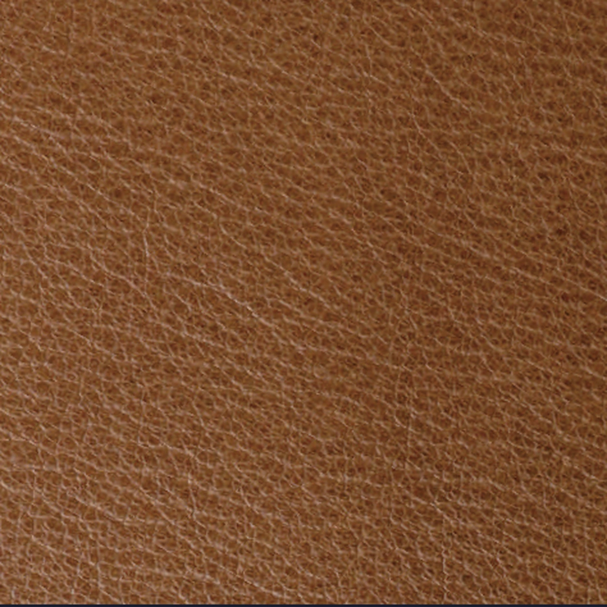 Mars Goat Leather