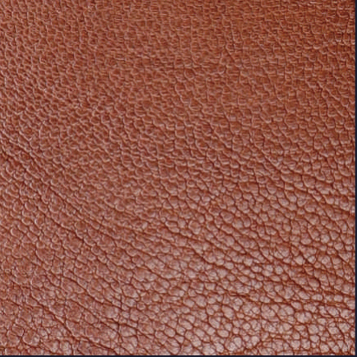 Mars Goat Leather 02, sample 2 of 3
