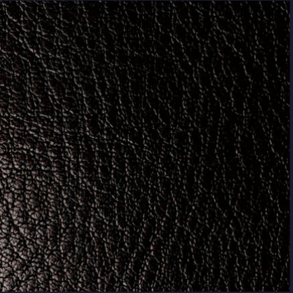 Mars Goat Leather 03, sample 3 of 3