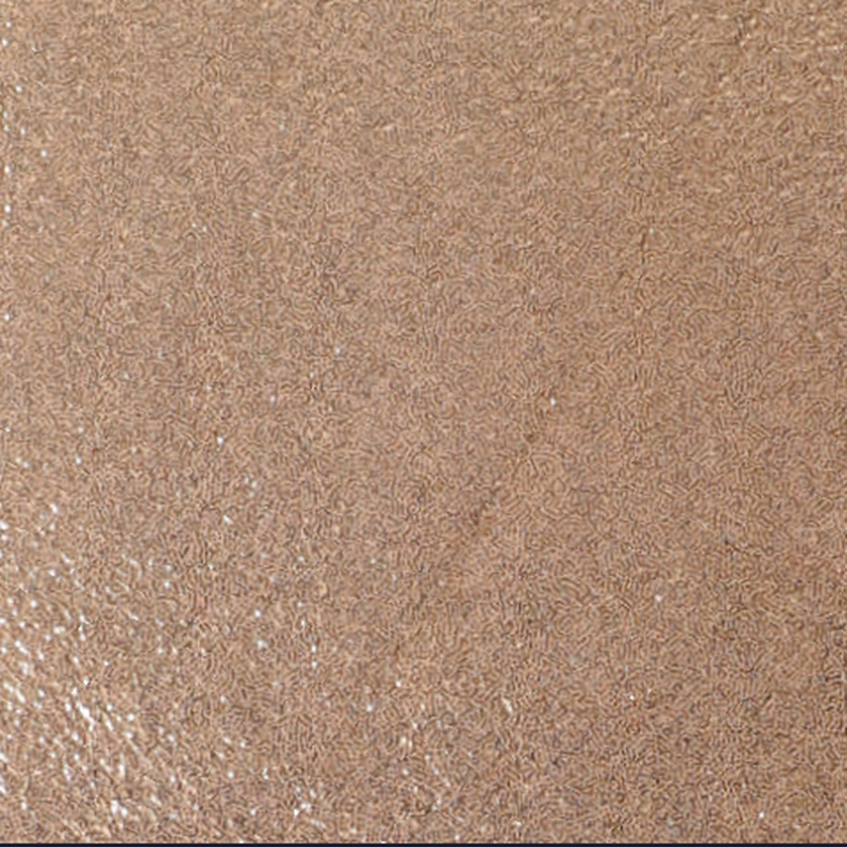 Sparkling Goat Leather 01, sample 1 of 2
