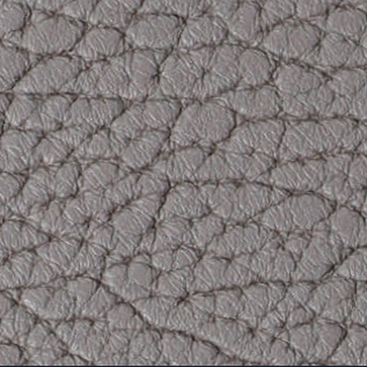 Elefant Sheep Leather 01, sample 1 of 3
