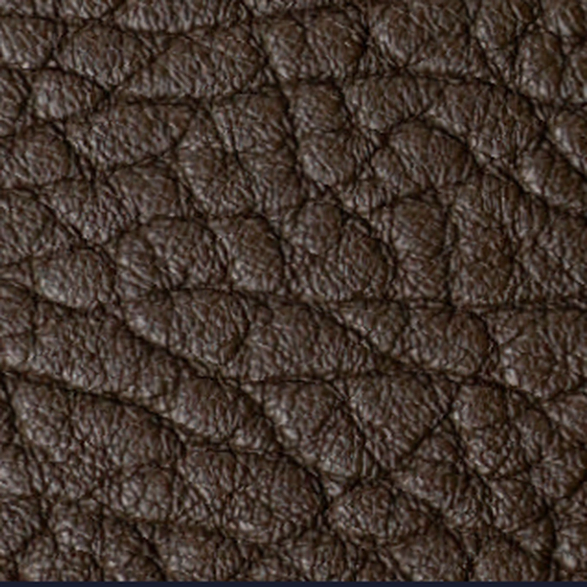 Elefant Sheep Leather 02, sample 2 of 3