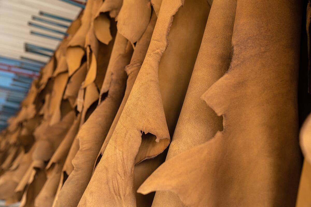 Natural leather hides hanging in the production area