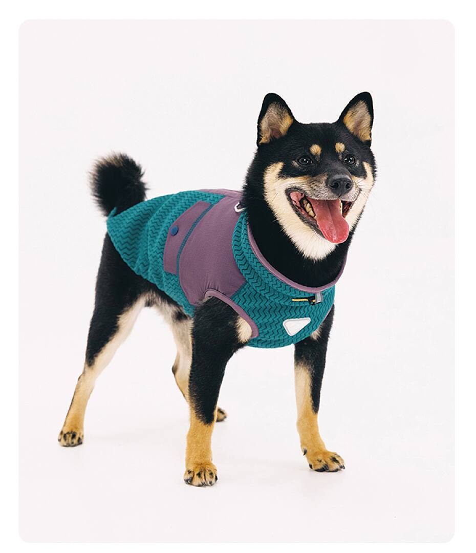 FK2002 Dog Apparel