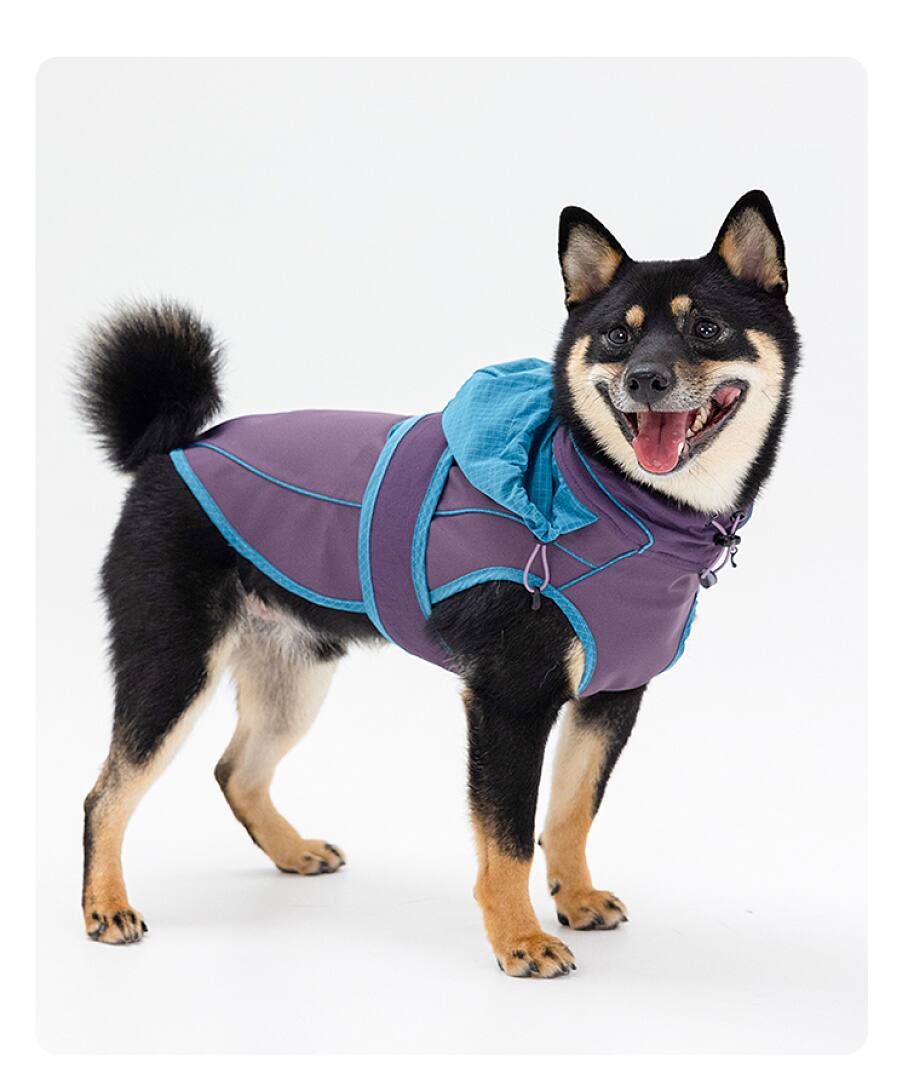 FK2005 Dog Apparel