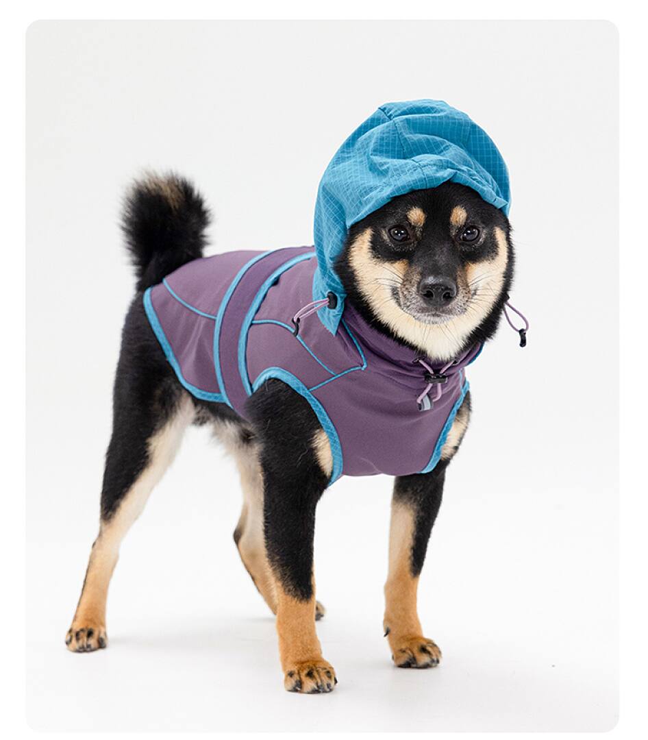FK2005 Dog Apparel