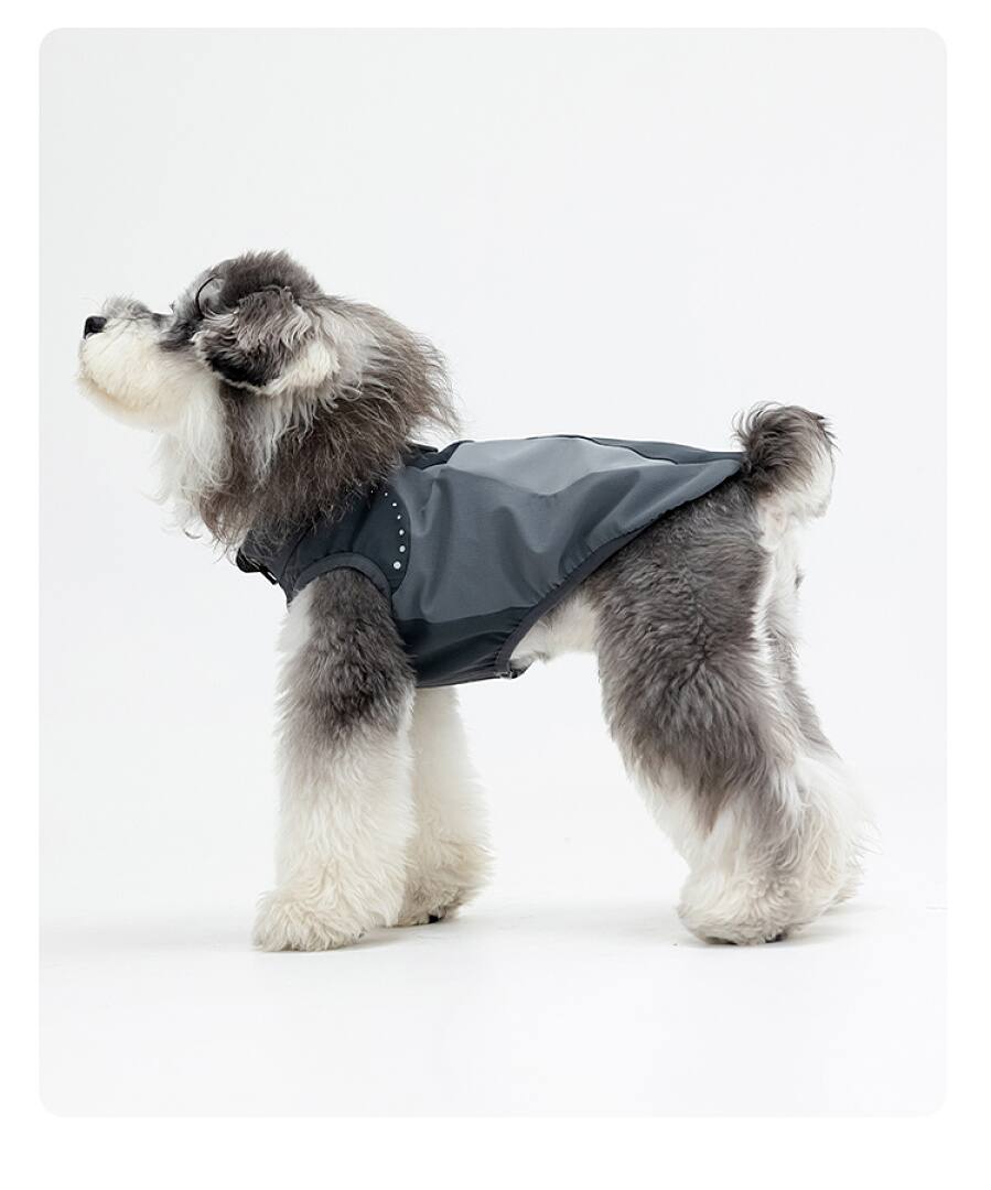 FK2000 Dog Apparel