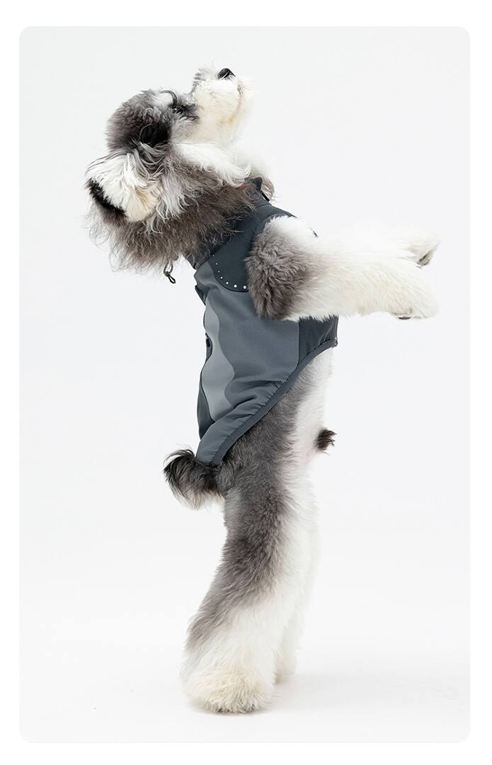 FK2000 Dog Apparel