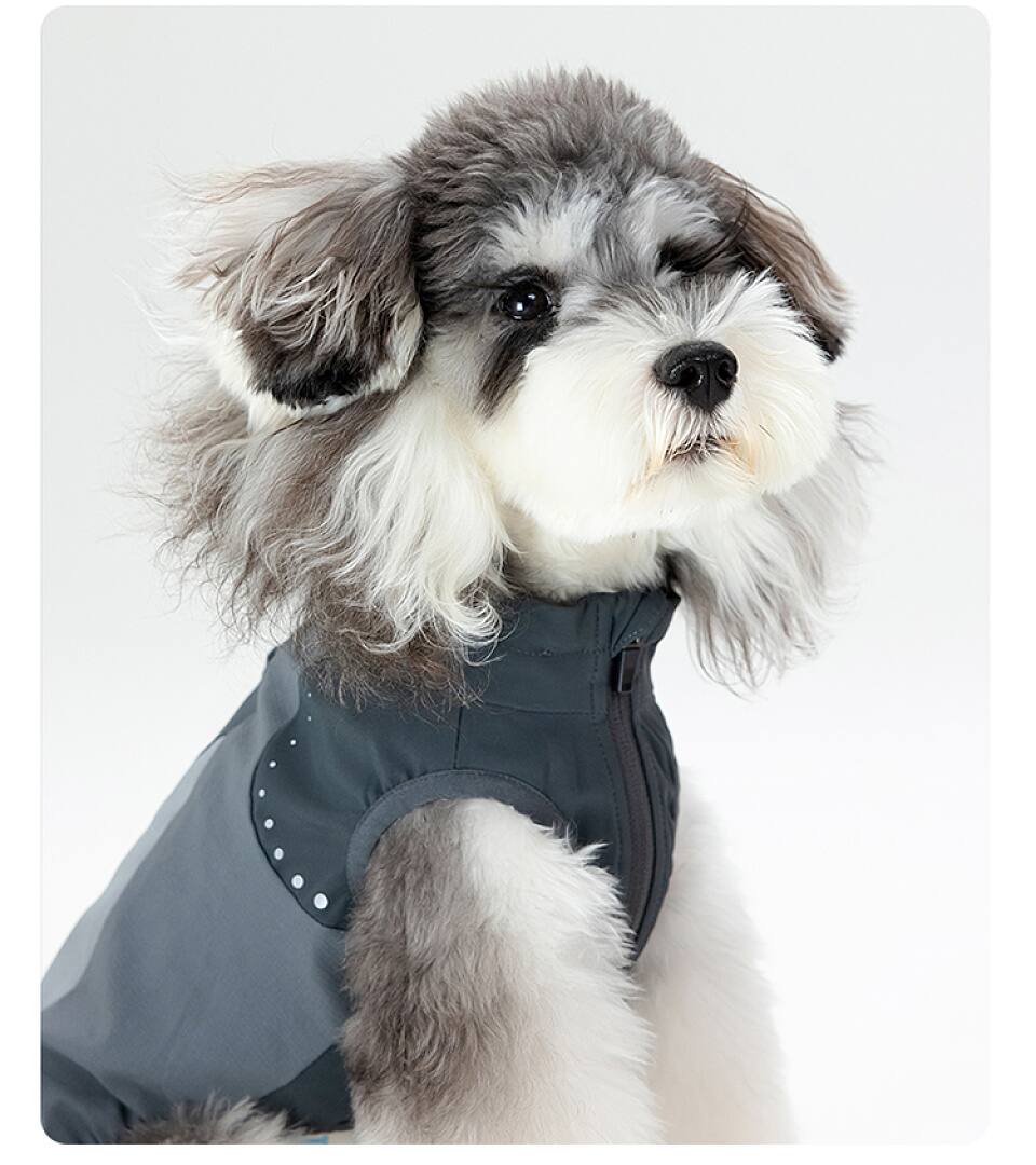 FK2000 Dog Apparel