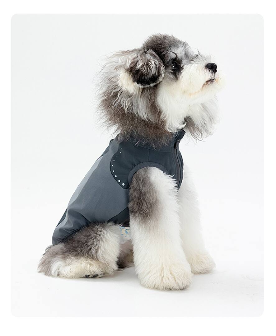 FK2000 Dog Apparel