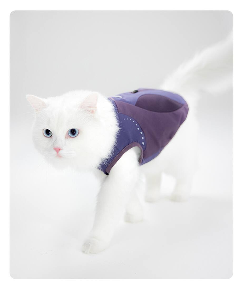 FK2000 Dog Apparel