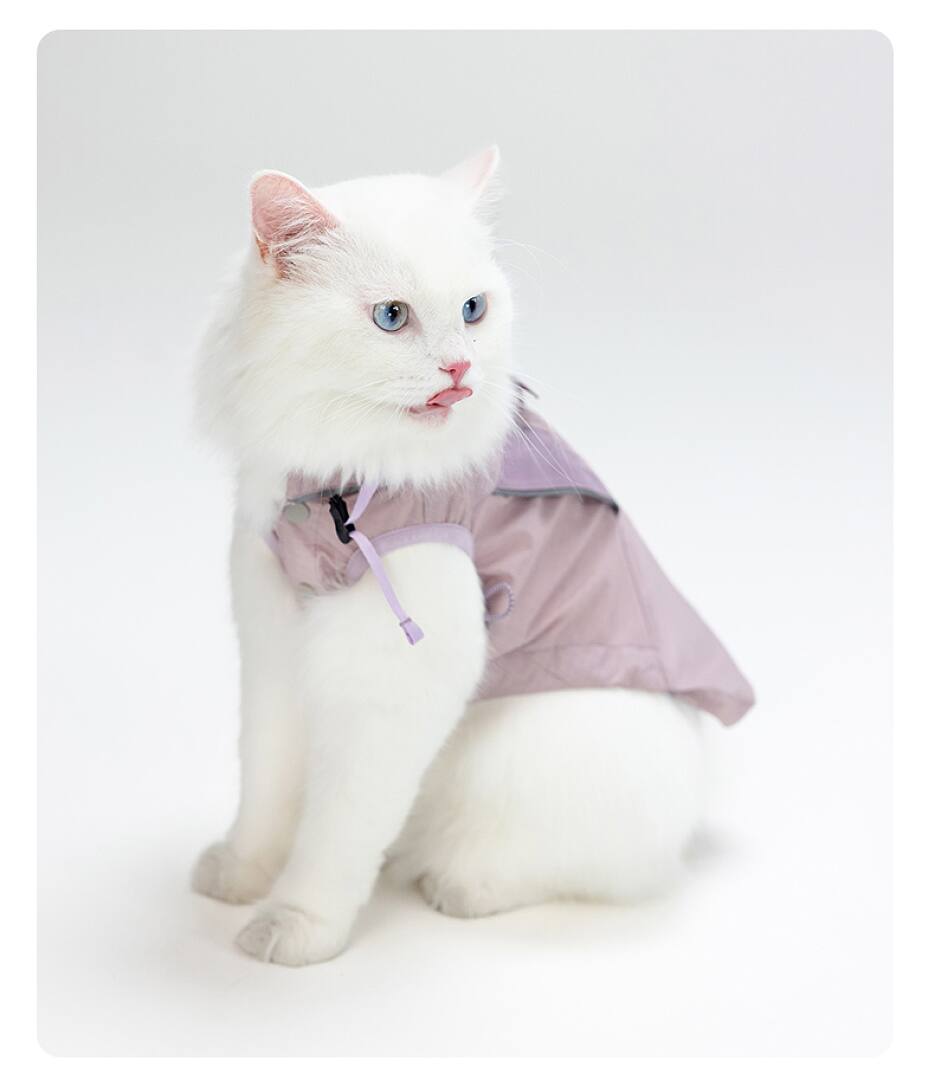 FK2003 Dog & Cat Apparel