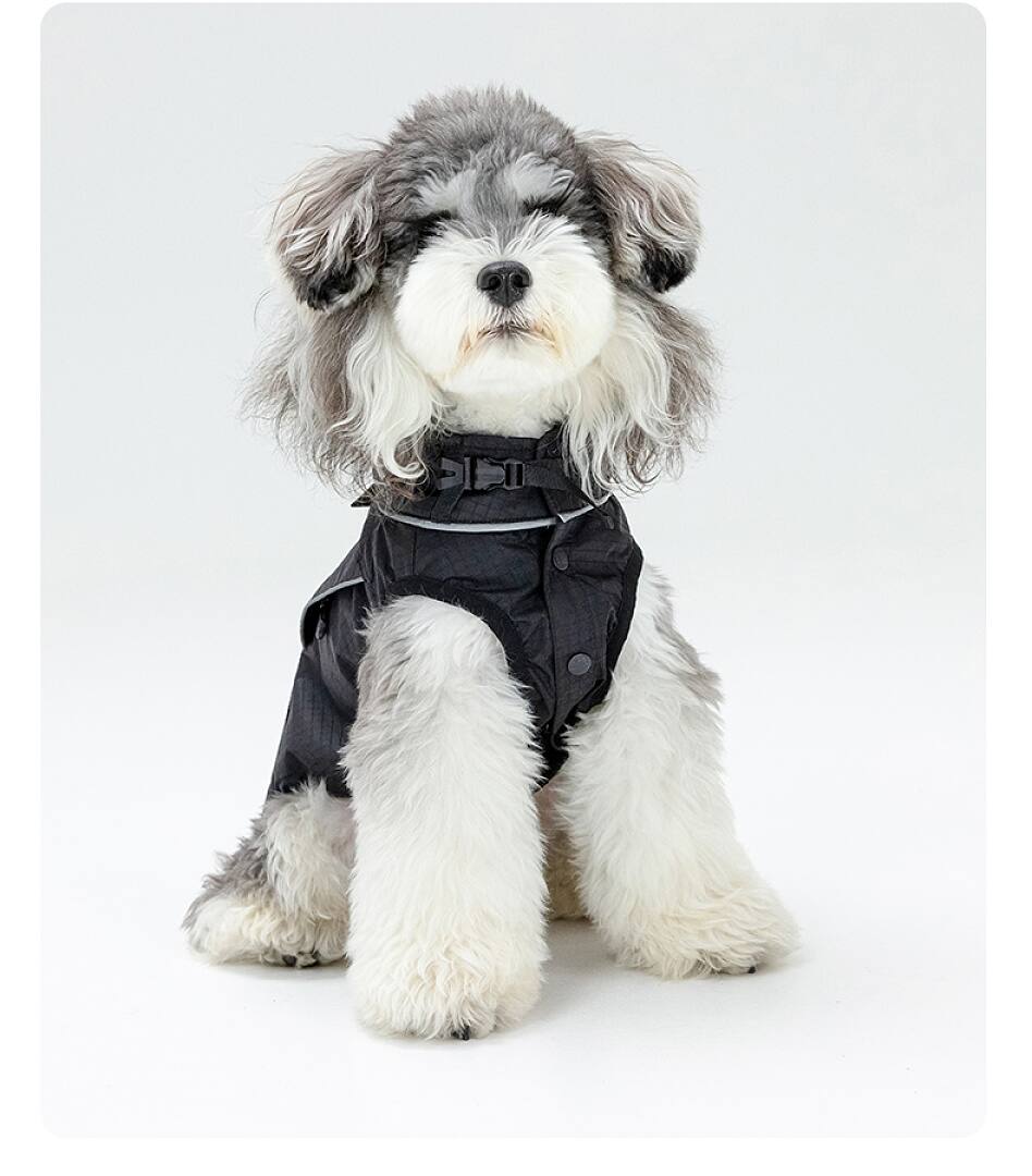 FK2003 Dog & Cat Apparel