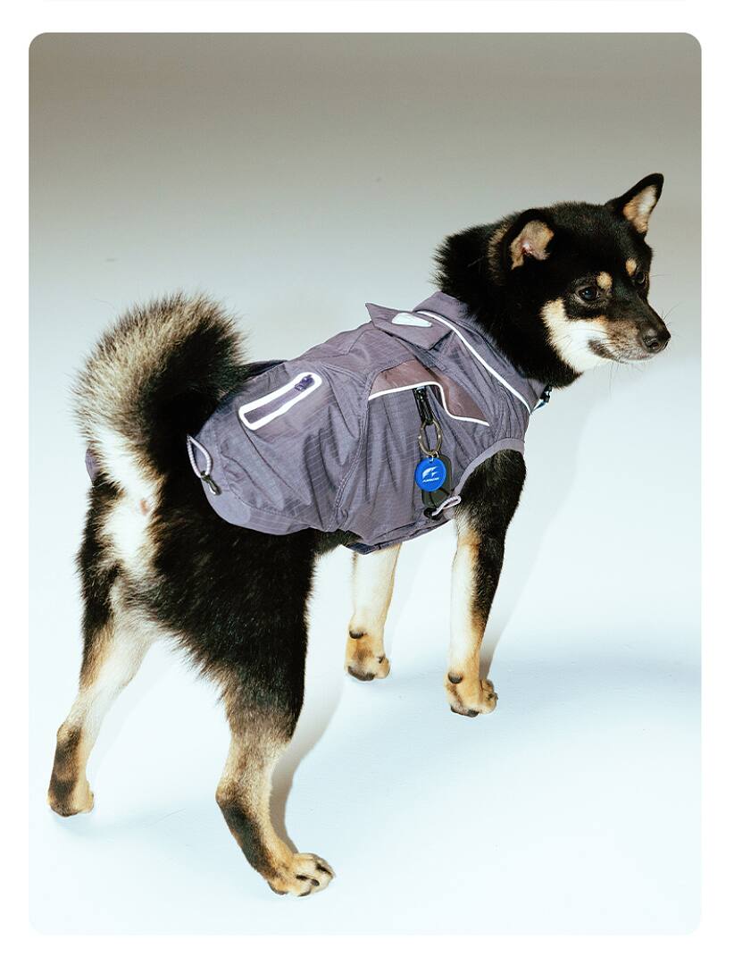 FK2003 Dog & Cat Apparel