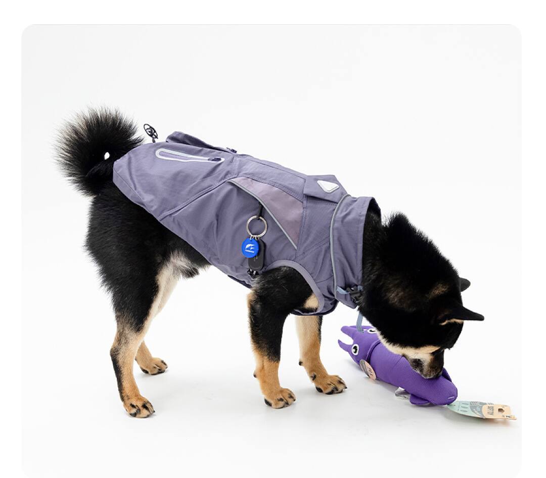 FK2003 Dog & Cat Apparel