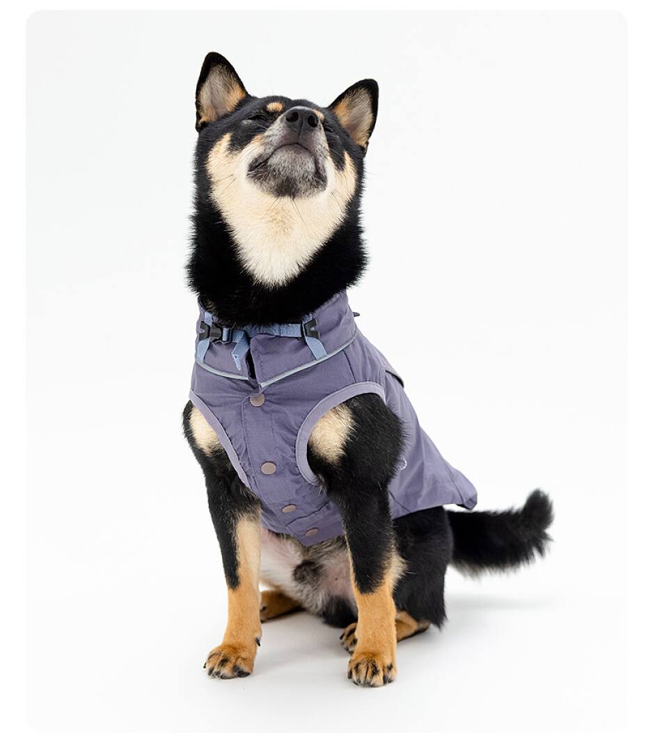 FK2003 Dog & Cat Apparel
