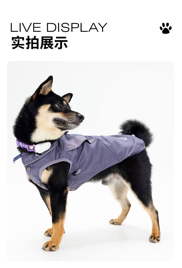 FK2003 Dog & Cat Apparel